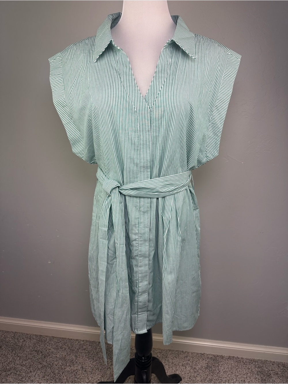 AVARA Bonnie Dress Womens XXXL Green White Stripe Belted Shirt Dress NWT